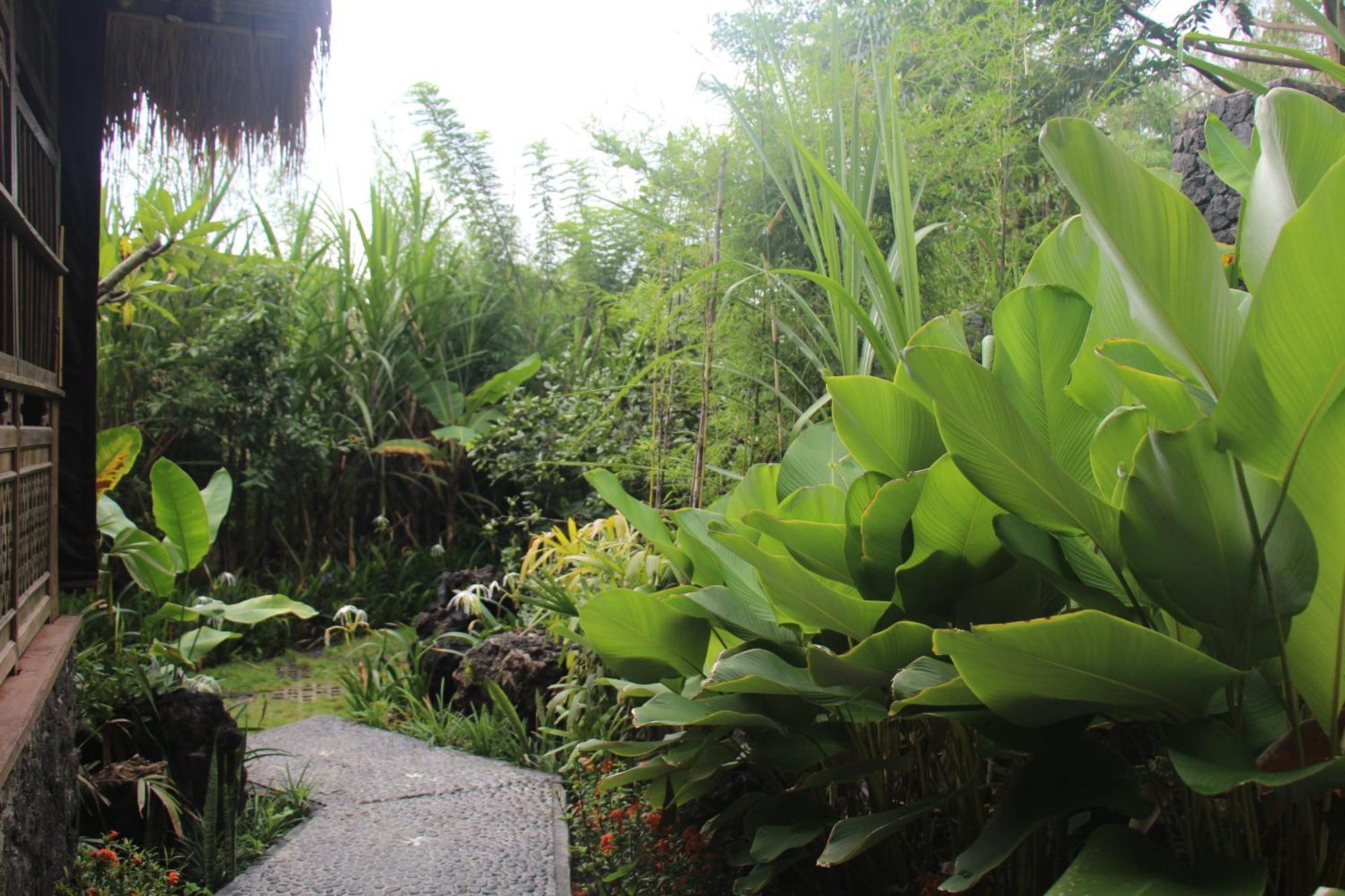 Geopark Village กินตามานี ภายนอก รูปภาพ