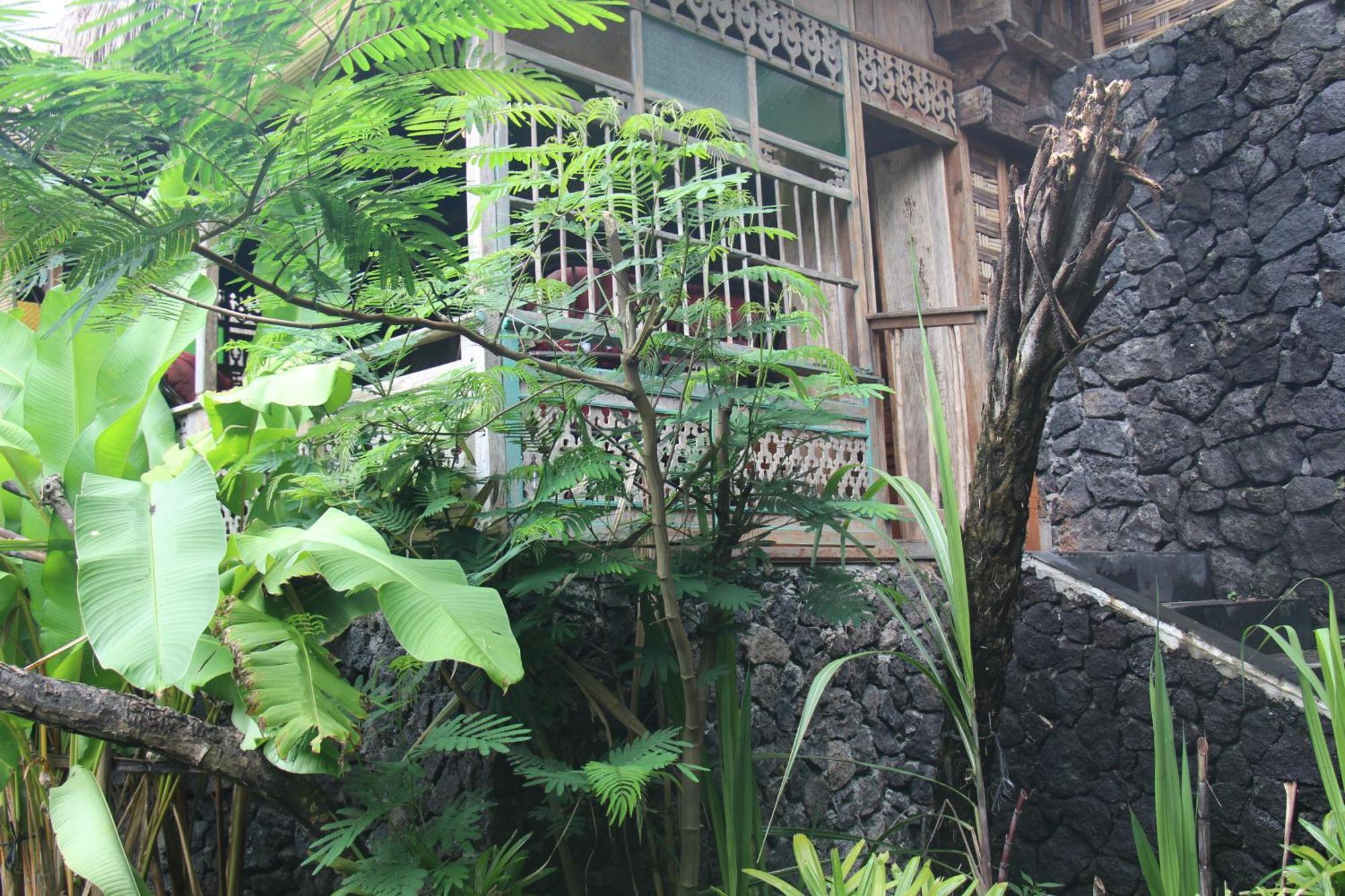 Geopark Village กินตามานี ภายนอก รูปภาพ